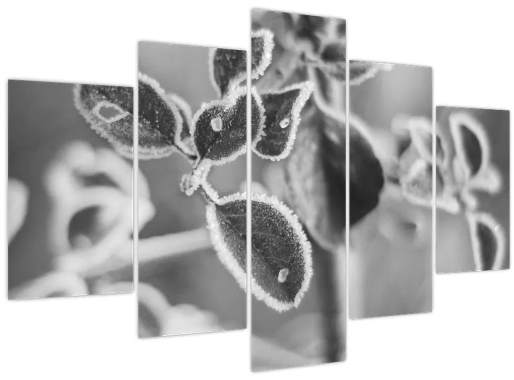 Obraz - Príroda na jeseň (150x105 cm)