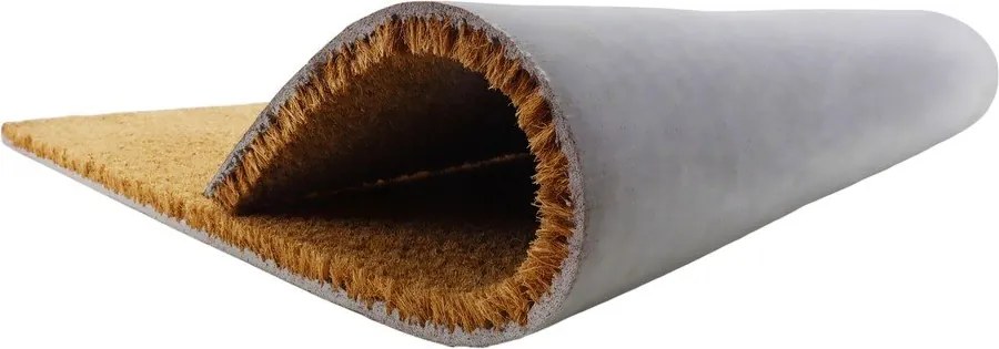 Rohožka z kokosového vlákna 40x60 cm Paw Prints – Artsy Doormats