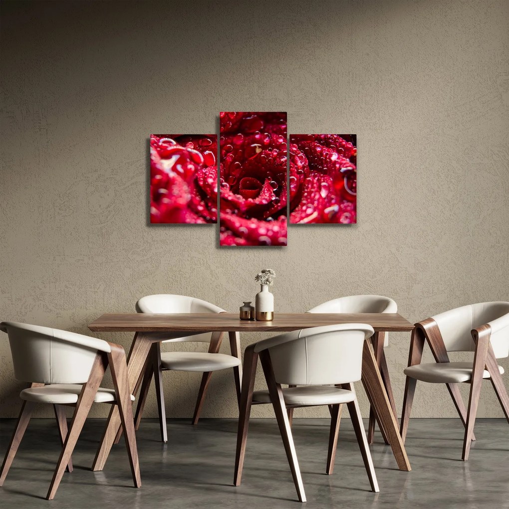 Obraz kvetu červenej ruže (90x60 cm)