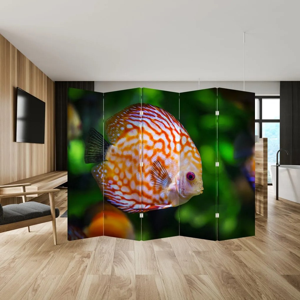 Paraván - Ryba (210x170 cm)