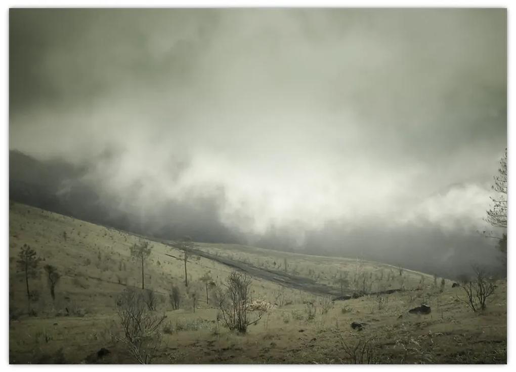 Sklenený obraz krajiny pred búrku (70x50 cm)