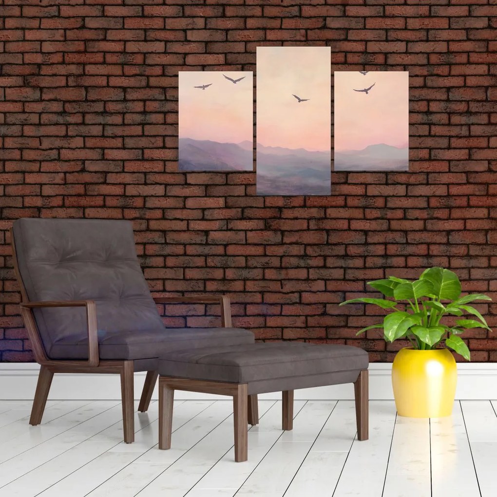 Obraz - Hejno vtákov II. (90x60 cm)