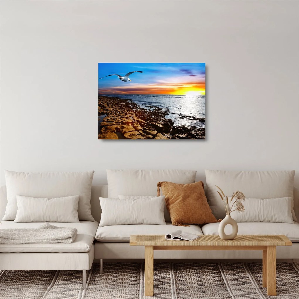 Sklenený obraz - Čajka letiaca nad pobrežím (70x50 cm)