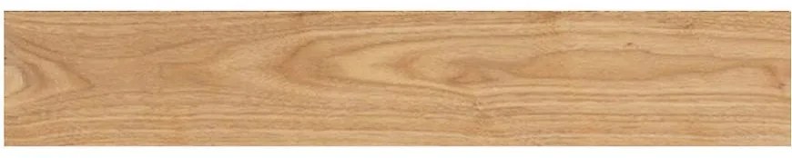 Gresová dlažba Long LPT 1002 19,5/119,5