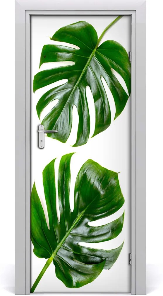 Fototapeta na dvere  Monstera