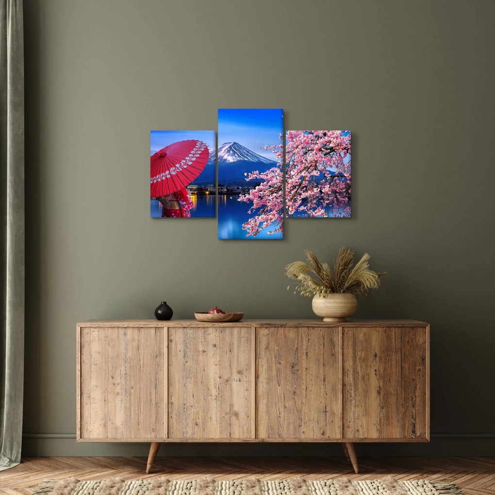 Obraz - Výhľad na vrchol, Japonsko (90x60 cm)