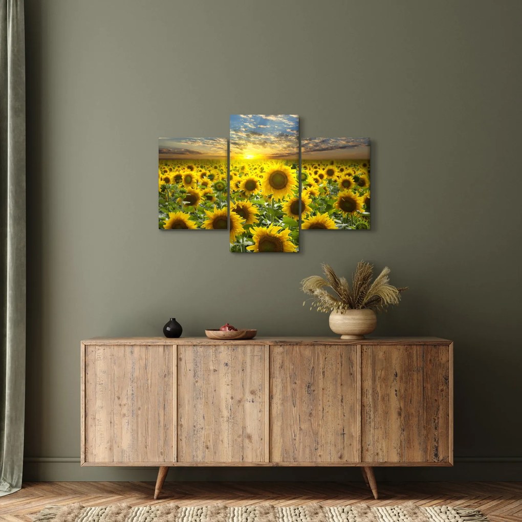 Obraz - Slnečnica pri západe slnka (90x60 cm)