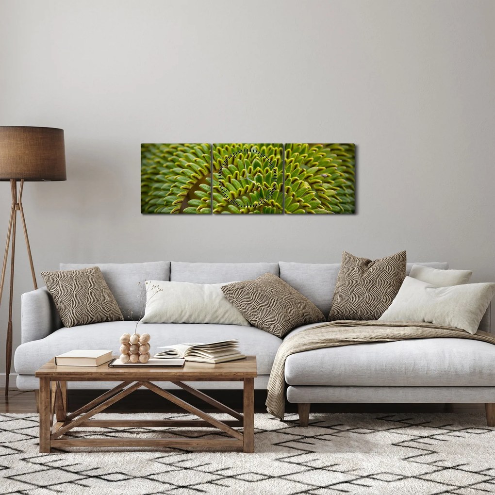 Obraz - Papraď (s hodinami) (90x30 cm)