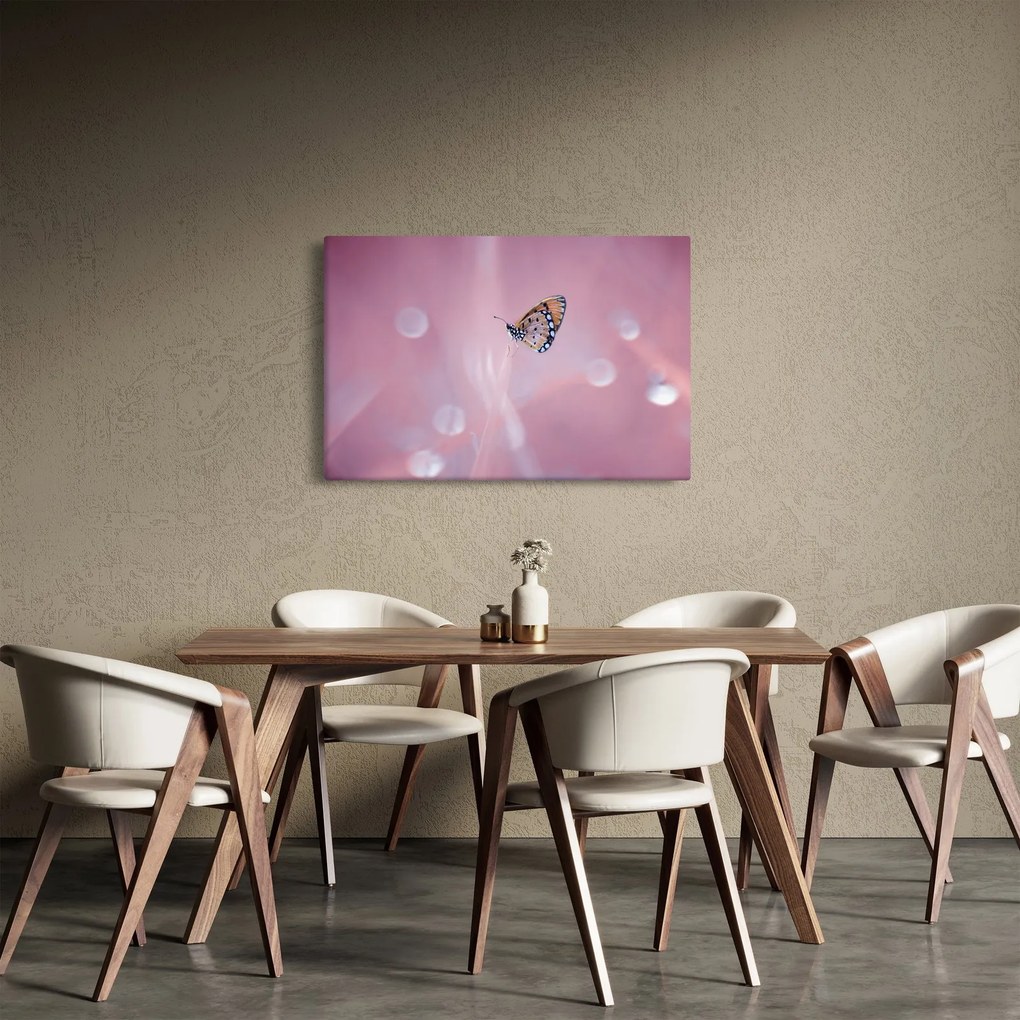 Obraz - Motýlik (90x60 cm)