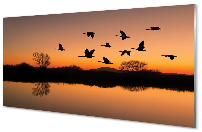 Sklenený obraz Lietajúce vtáky sunset 100x50 cm