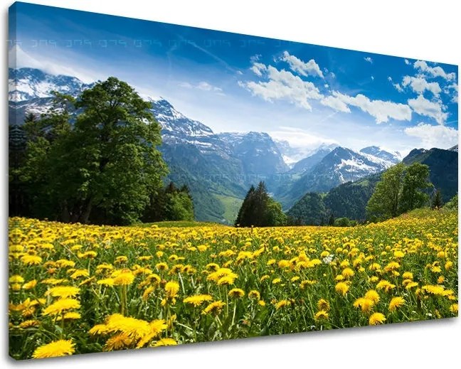 Obraz na stenu KRAJINA