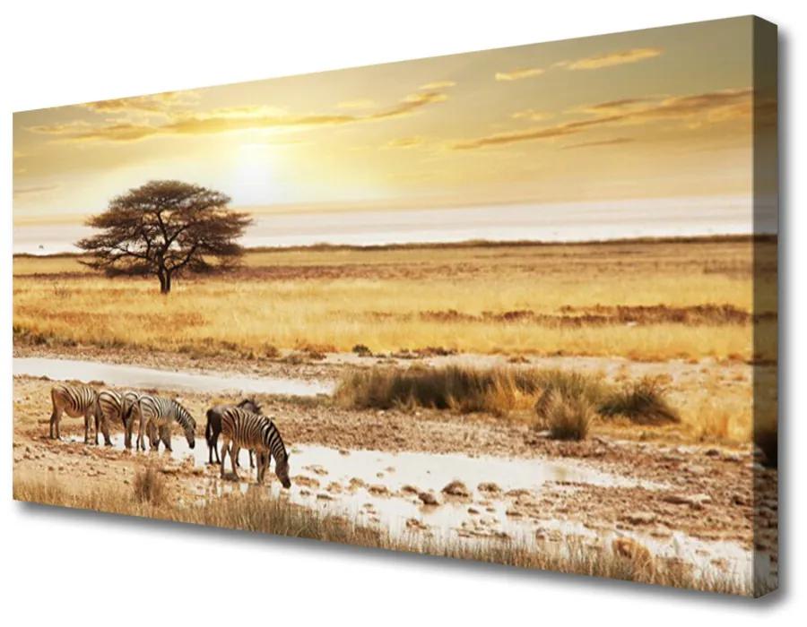 Obraz na plátne Púšť krajina 140x70 cm