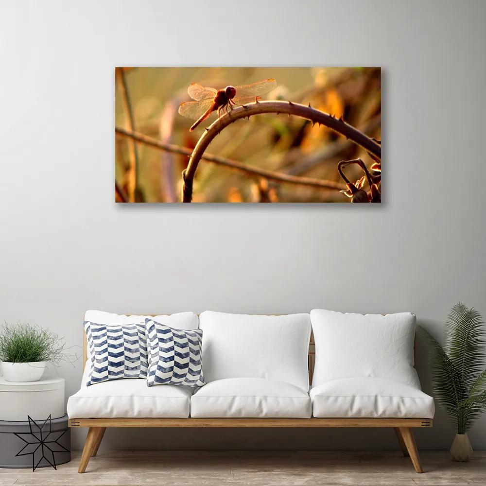 Obraz na plátne Vážka príroda rastlina 120x60 cm
