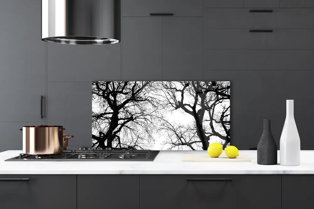 Sklenený obklad Do kuchyne Stromy príroda čiernobiely 125x50 cm