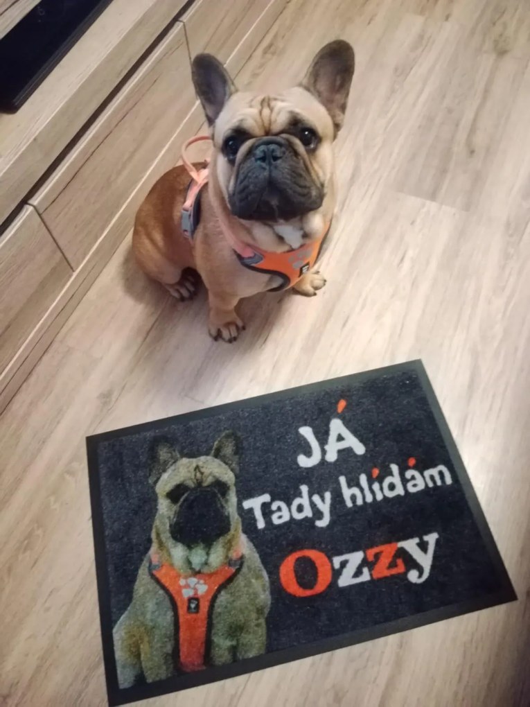 GDmats, Rohožka s vlastnou potlačou (logom) na mieru MK415 Velour – na von aj na doma, 60x75, viacfarebná