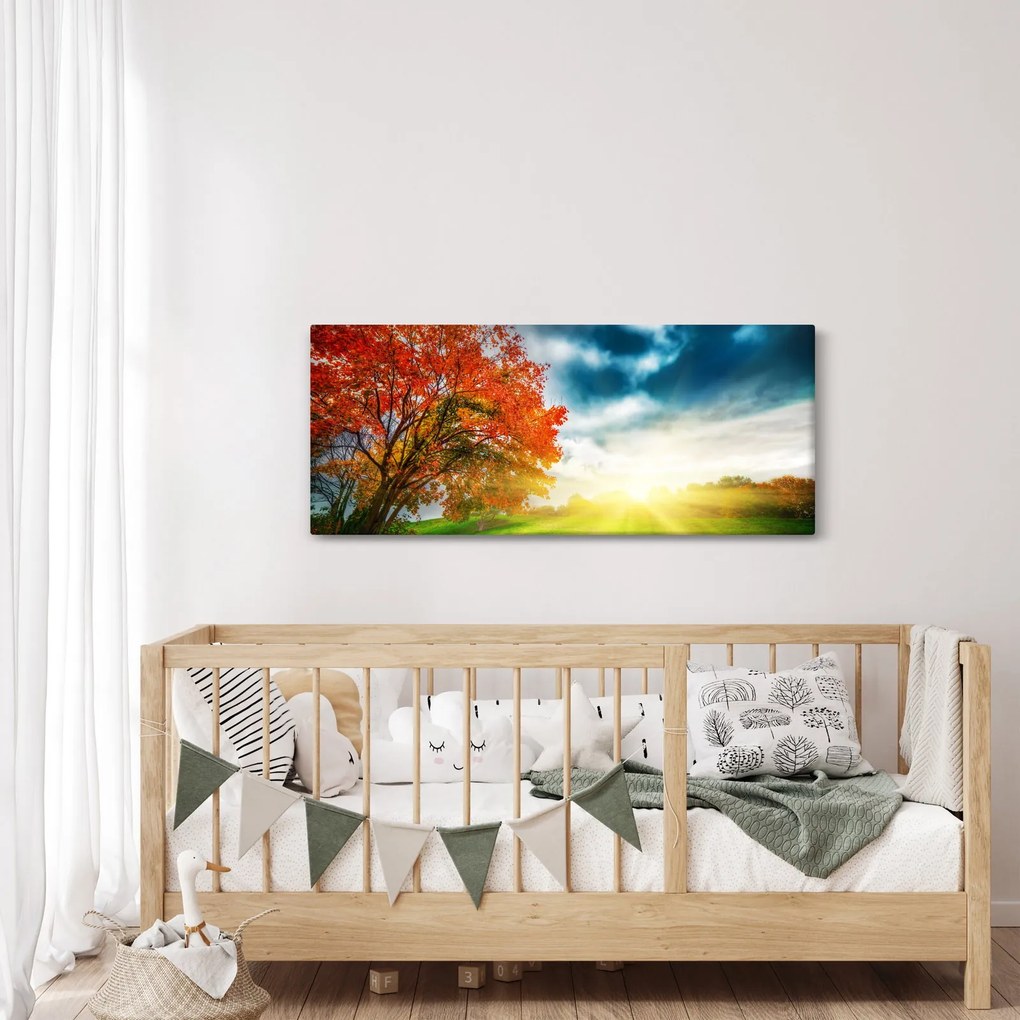 Obraz krajiny zaliate slnečným svitom (120x50 cm)