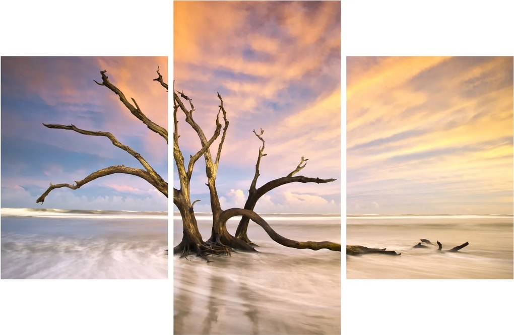 Obraz stromu v oceáne (90x60 cm)