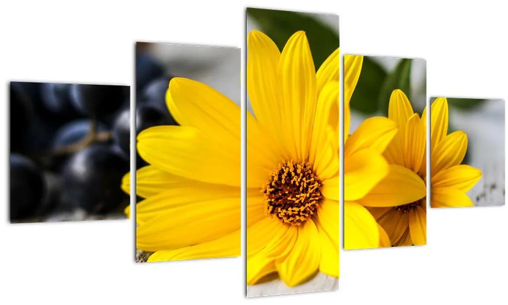 Obraz žltej kvetiny (125x70 cm), 40 ďalších rozmerov