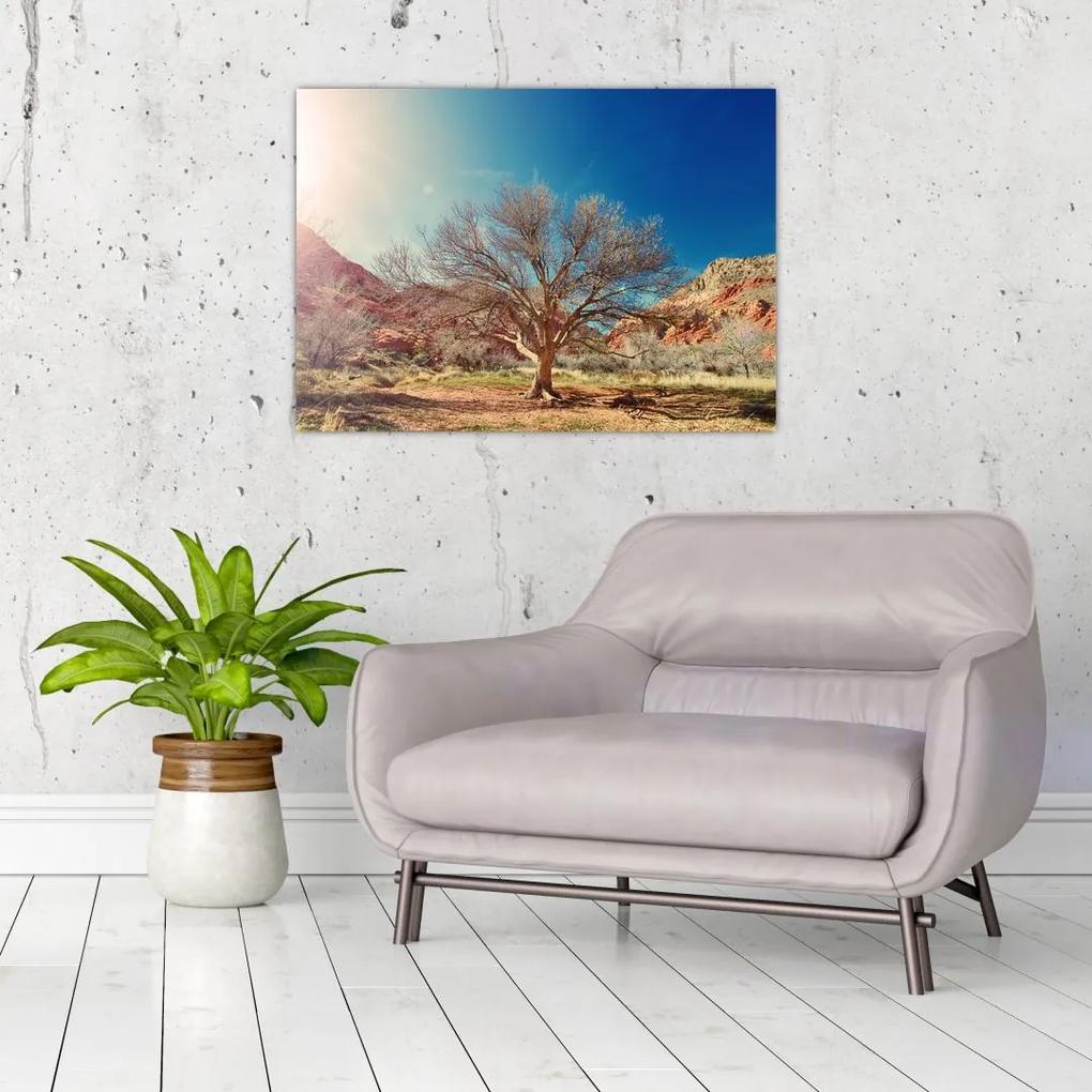 Sklenený obraz stromu v púšti (70x50 cm)