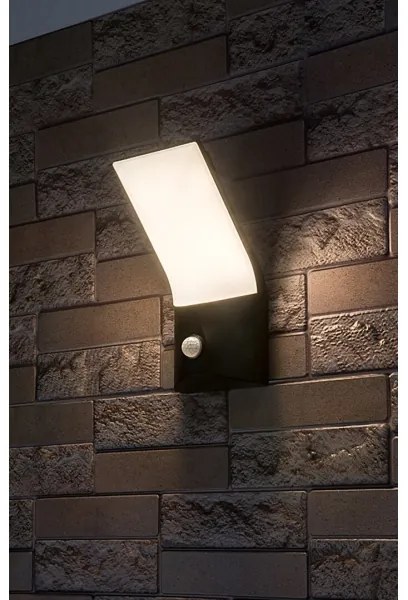 Rabalux 77172-LED Vonkajšie nástenné svietidlo so senzorom TOLNA LED/10W/230V IP54