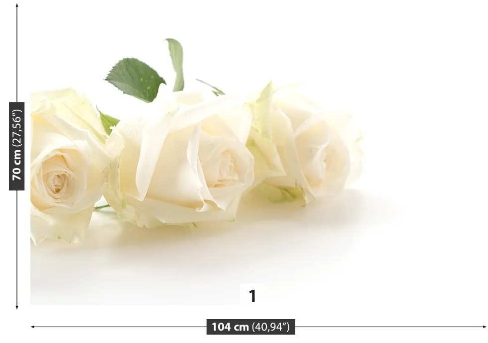 Fototapeta Vliesová Biele ruže 152x104 cm