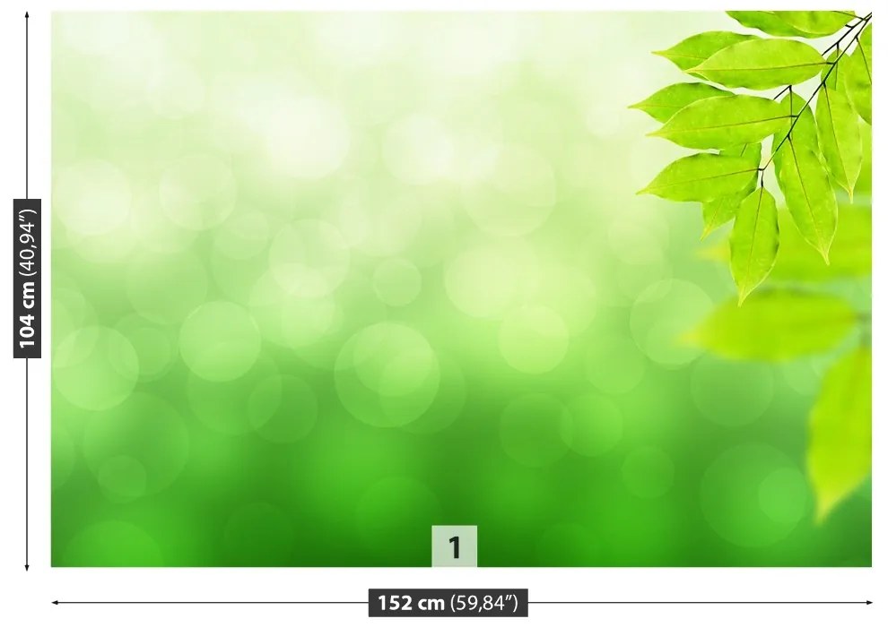 Fototapeta Vliesová Zelená vetva 104x70 cm