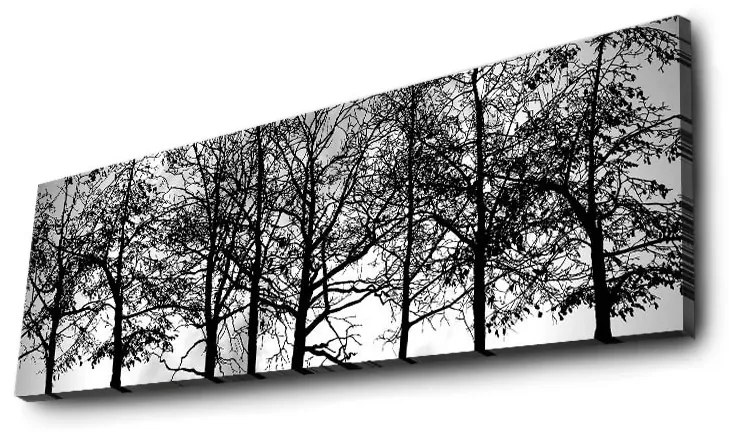 Obraz s LED osvetlením VETVY STROMOV 72 30 x 90 cm