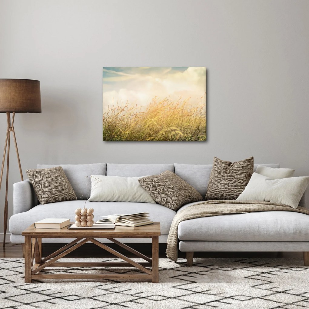 Obraz - Pole na jeseň (70x50 cm)