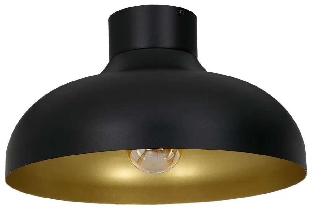 Luster prisadený  BASCA 1xE27/60W/230V