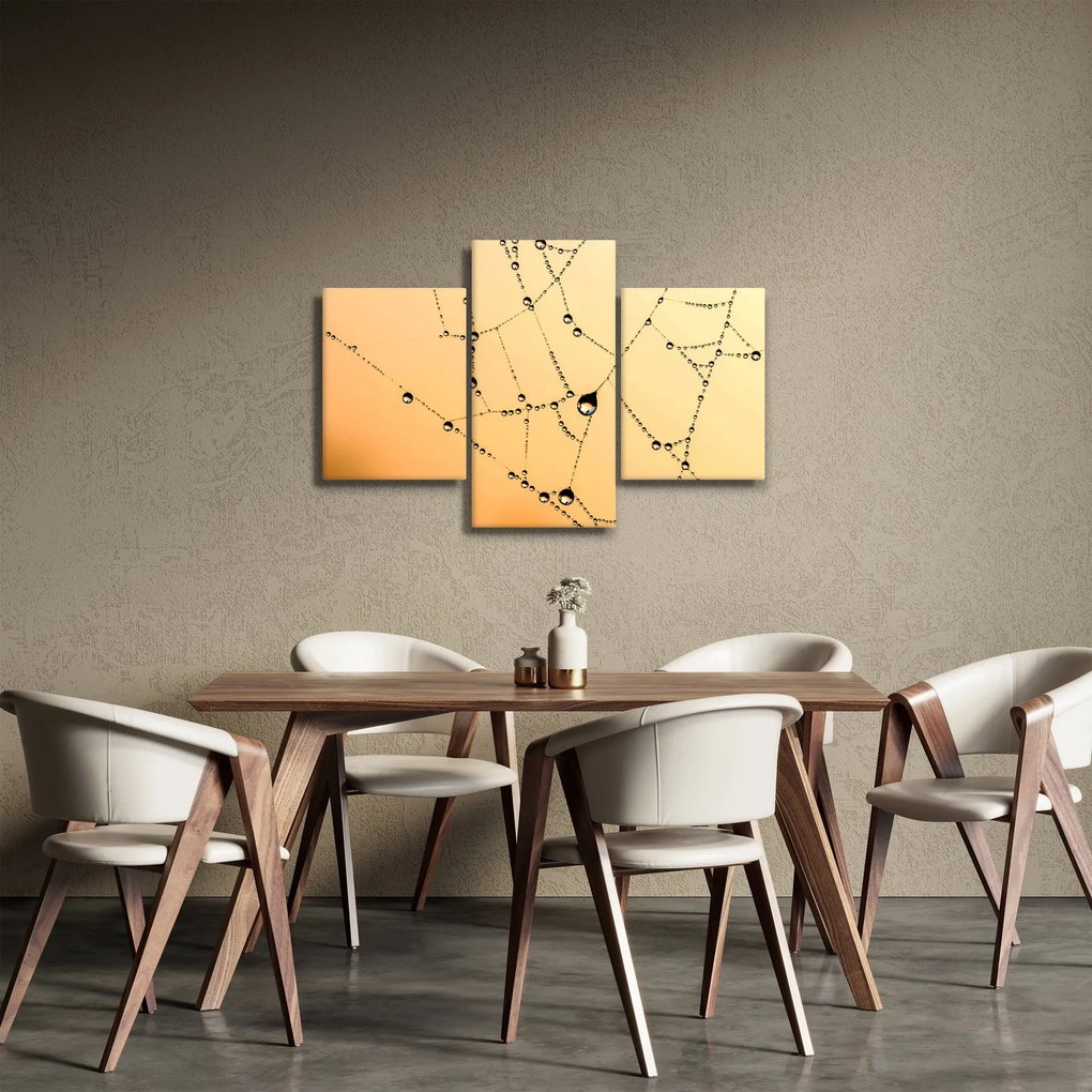 Obraz orosenej pavučiny (90x60 cm)