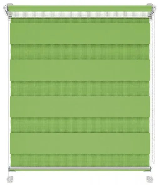 Gario Roleta Deň a noc Mini Standard Zelená Šírka: 70 cm, Výška: 220 cm