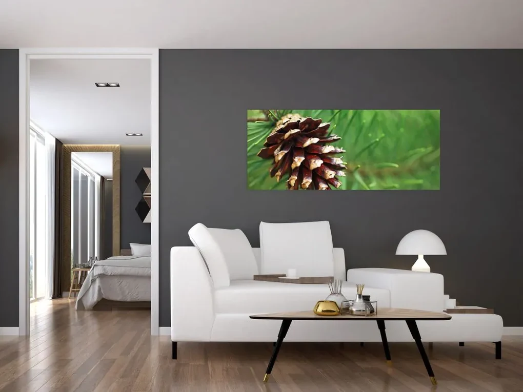 Obraz šišky (120x50 cm)