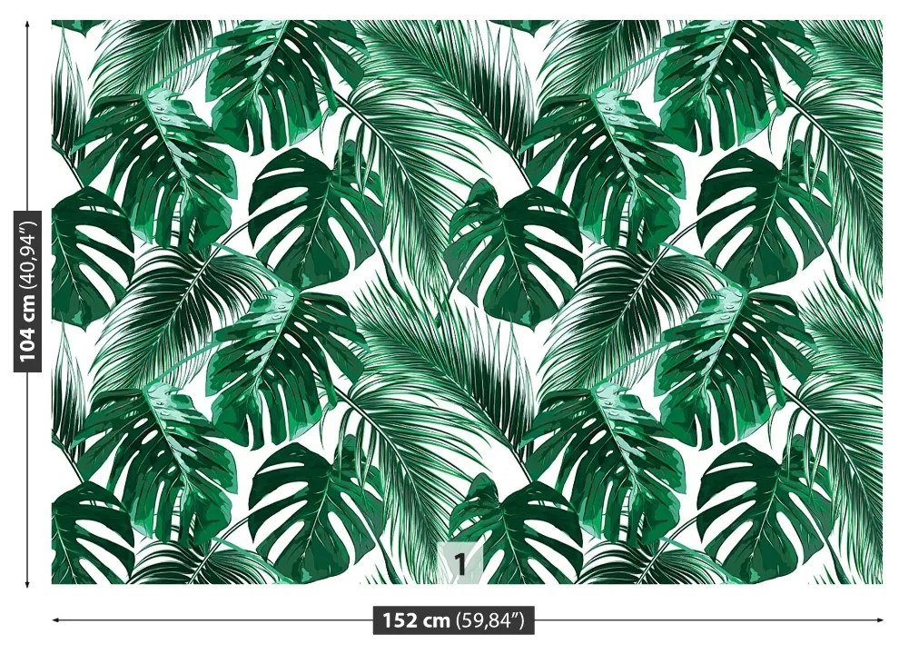 Fototapeta Vliesová Monstera deravá 152x104 cm