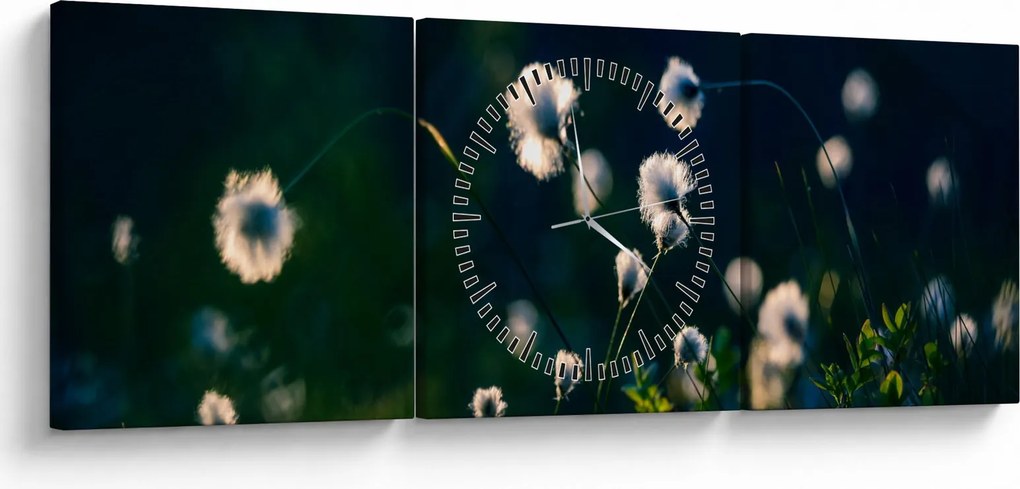 Obraz - Tráva (s hodinami) (90x30 cm)