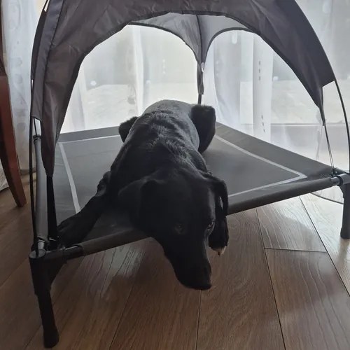 Krytý vyvýšený pelech pre psov XXL