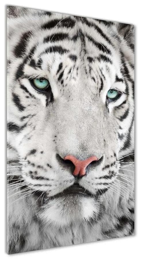 Moderný akrylový fotoobraz Biely tiger pl-oa-70x140-f-104866855