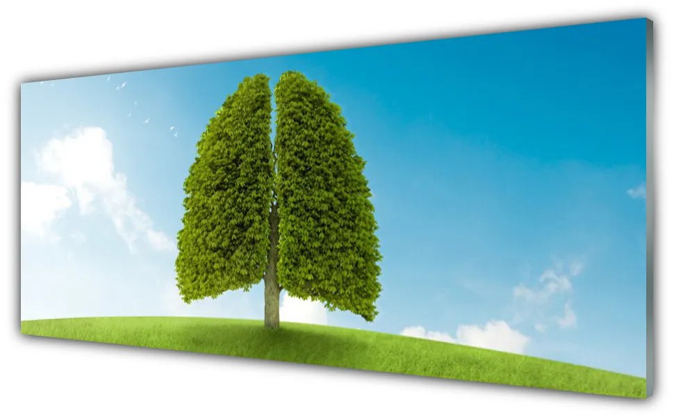 Obraz plexi Tráva strom pľúca príroda 125x50 cm