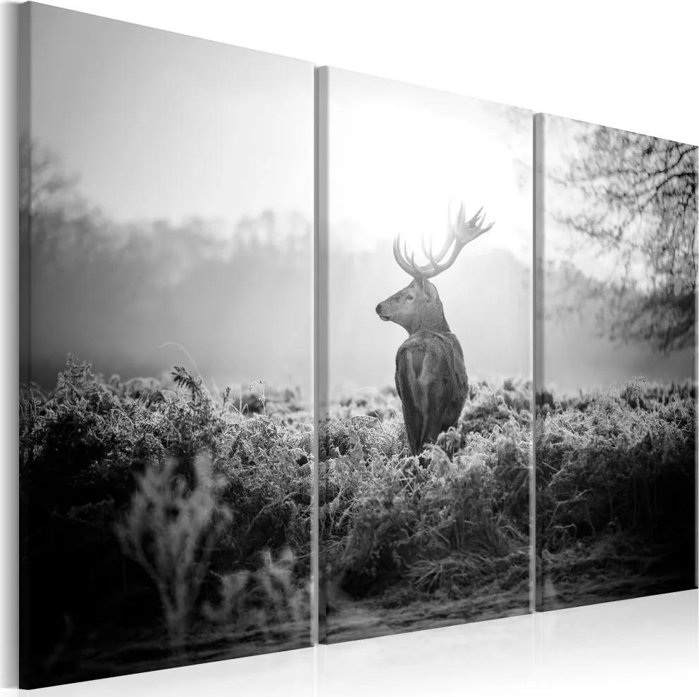 Obraz na plátne Bimago - Black and White Deer I 120x80 cm