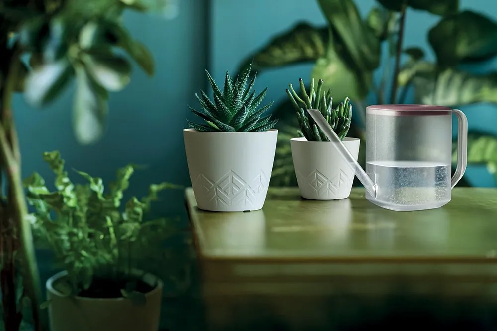 Kvetináč Areca - výber z 6 prevedení