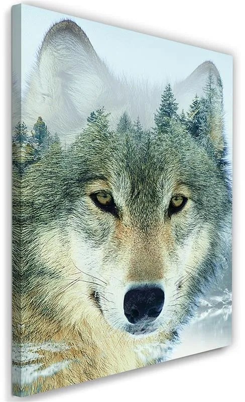 Gario Obraz na plátne Vlk v lese na pozadí Rozmery: 40 x 60 cm