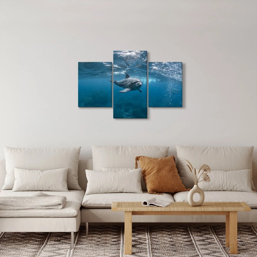 Obraz - Delfín pod hladinou (90x60 cm)