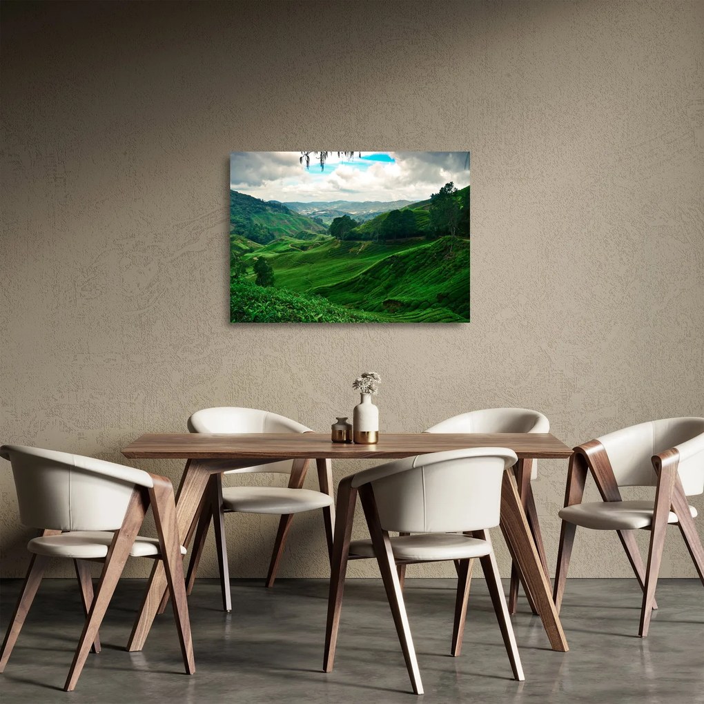 Sklenený obraz - Čajové plantáže v Malajzii (70x50 cm)