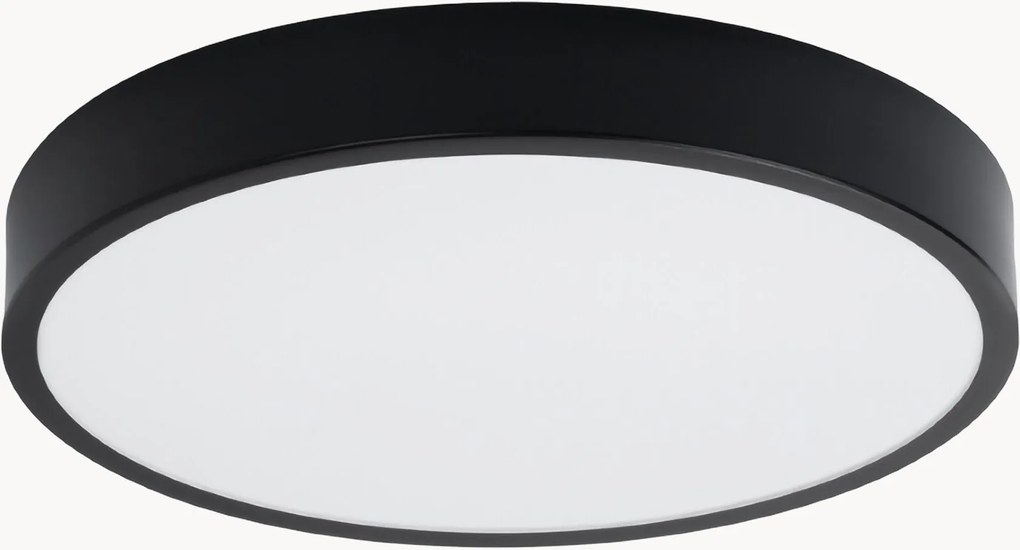 Stropné LED svietidlo Franco, rôzne veľkosti