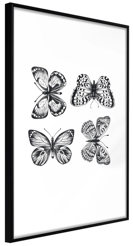 Artgeist Plagát - Four Butterflies [Poster] Veľkosť: 20x30, Verzia: Čierny rám s passe-partout