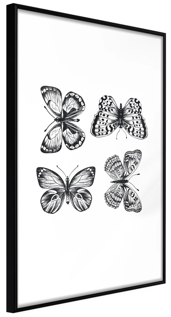 Artgeist Plagát - Four Butterflies [Poster] Veľkosť: 20x30, Verzia: Čierny rám