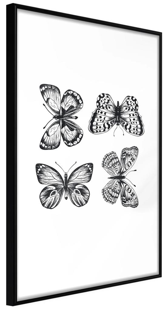 Artgeist Plagát - Four Butterflies [Poster] Veľkosť: 30x45, Verzia: Čierny rám