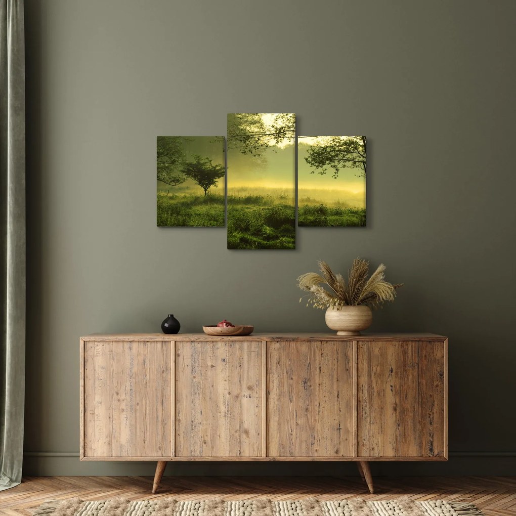 Obraz - Prebúdzajúci sa les (90x60 cm)