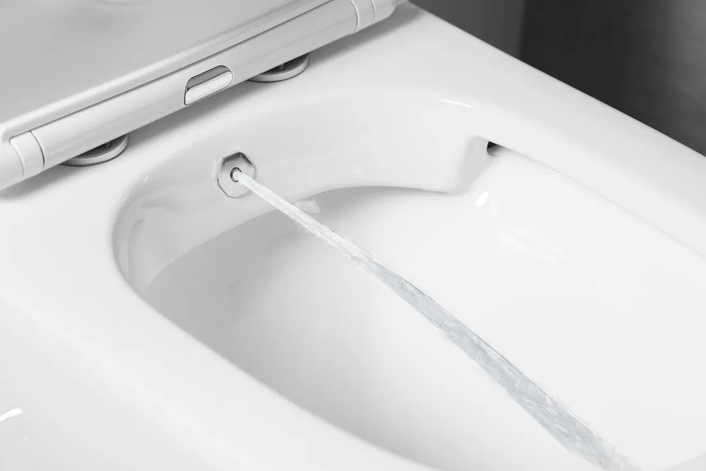 Sapho Sapho, PACO CLEANWASH WC kombi misa, integrovaná batéria a bidetová spŕška, spodný/zadný, biela, PC1012RX
