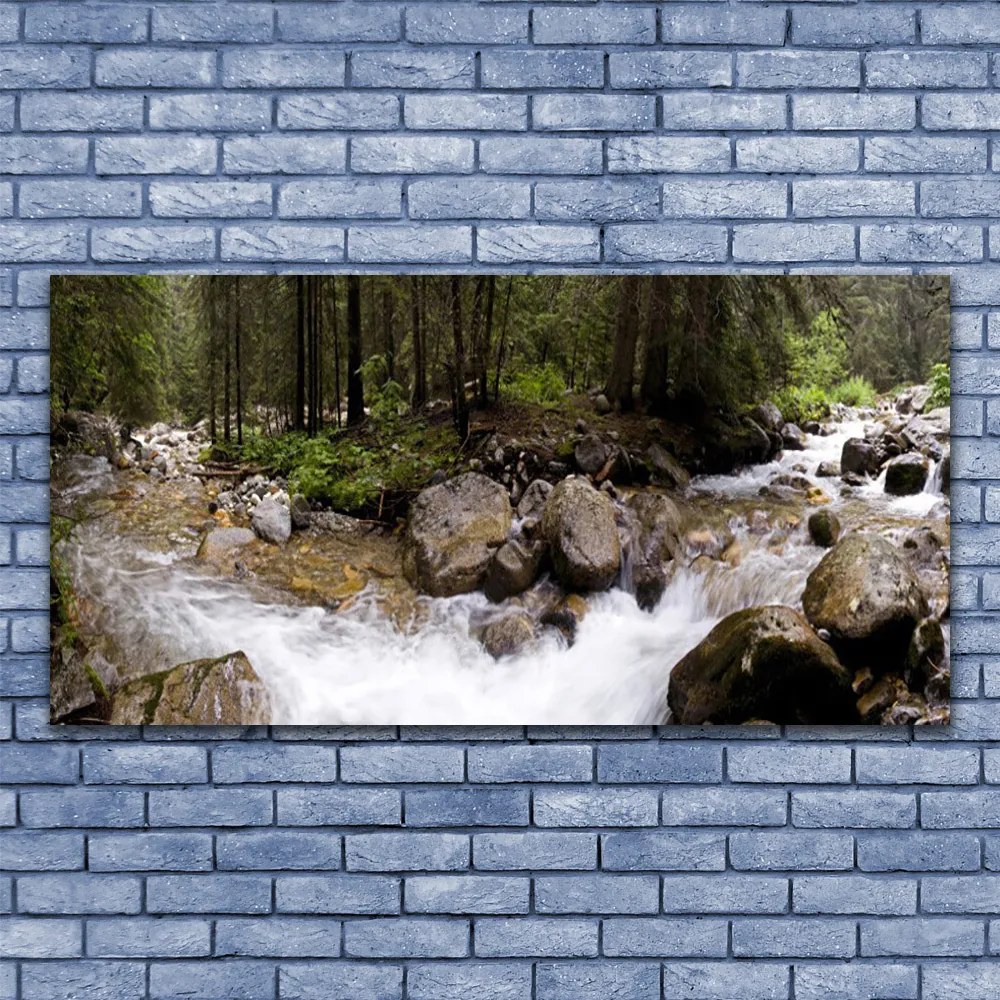 Obraz plexi Les rieka vodopády 120x60 cm