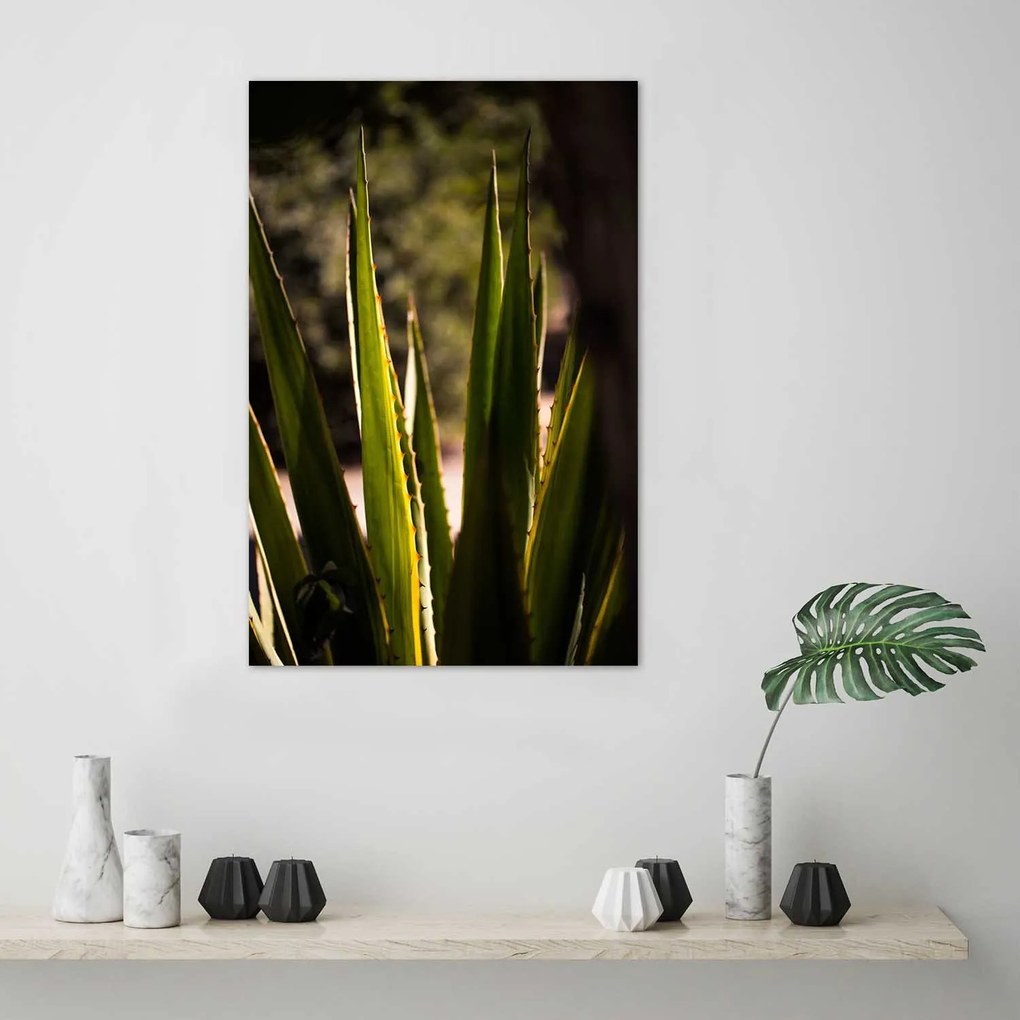 Gario Plagát Ostnaté listy Farba rámu: Bez rámu, Rozmery: 40 x 60 cm